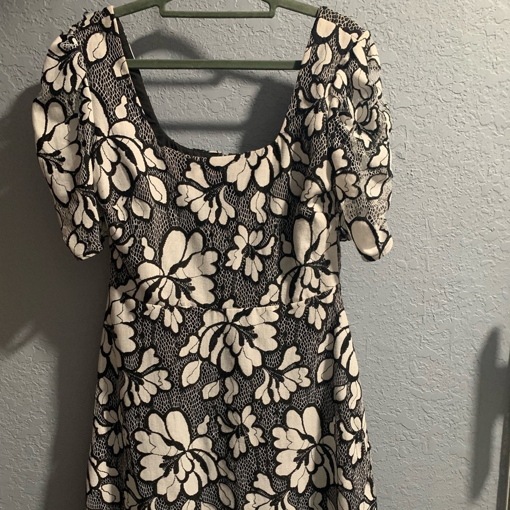 Black and White Knee Length